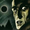 Nosferatu on Random Greatest Shows and Movies About Vampires