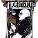Nosferatu the Vampyre on Random Best Horror Movie Remakes