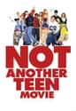 Not Another Teen Movie on Random Best Teen Romance Movies