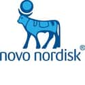 Novo Nordisk on Random Companies with Highest Paid Salary Employees