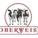 Oberweis Dairy on Random Best Ice Cream Parlors