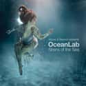 Oceanlab on Random Best Trance Artists