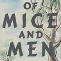 John Steinbeck   Of Mice and Men is a novella written by Nobel Prize–winning author John Steinbeck.