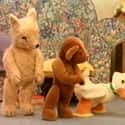 Old Bear Stories on Random Best Stop Motion TV Shows