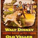 Old Yeller on Random Greatest Animal Movies