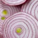 Onion on Random Best Burger Toppings