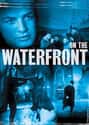 On the Waterfront on Random Best Mafia Films