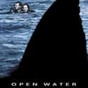 Metacritic score: 63 Open Water is a 2003 drama psychological horror film loosely based on the true story of an American couple, Tom and Eileen Lonergan, who in 1998 went out with a scuba diving group, Outer Edge...