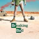 Breaking Bad - Season 1 on Random Seasons of 'Breaking Bad'