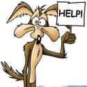 Wile E. Coyote on Random Funniest TV Characters