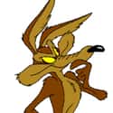 Wile E. Coyote on Random Greatest Cartoon Characters in TV History