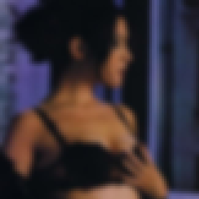 pawg star porn francais pawg star porn francais