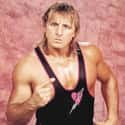 Owen Hart on Random Professional Wrestlers Who Died Young