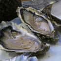 Oyster on Random Animals That Are Served as Food... Alive!
