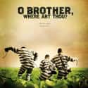 O Brother, Where Art Thou? on Random Best Prison Movies