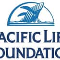 Pacific Life on Random Best Life Insurance Companies
