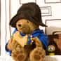 Paddington Bear is listed (or ranked) 7 on the list The Greatest Bear Characters of All Time