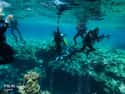Palau on Random Best Countries for Scuba Diving