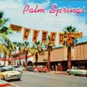 Palm Springs on Random Best Cities for a Bachelorette Party