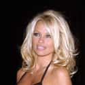 Pamela Anderson on Random Famous Cancer Female Celebrities