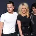 Pamela Anderson on Random Celebrities Involved in Custody Battles