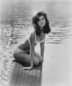 Pamela Tiffin on Random Most Beautiful Women Of The '60s