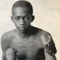 Bantamweight   Alfonso Teofilo Brown, better known as Panama Al Brown, was a bantamweight boxer from Panama who made history by becoming boxing's first Hispanic world champion.