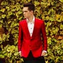 Panic! at the Disco on Random Greatest Teen Pop Bands and Artists