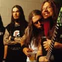 Glam metal, Thrash metal, Groove metal   Pantera was an American heavy metal band from Arlington, Texas.