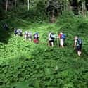 Papua New Guinea on Random Best Countries for Hiking