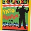Pato Banton & The Reggae Revolution on Random Best Reggae Bands/Artists