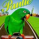 Cheech Marin, Jay Mohr, Tony Shalhoub   Paulie is a 1998 film about a disobedient bird named Paulie, starring Tony Shalhoub, Gena Rowlands, Hallie Eisenberg, and Jay Mohr.