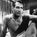 Paul Newman on Random Most Beloved US Veterans