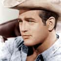 Paul Newman on Random Greatest Actors & Actresses in Entertainment History