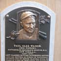 Paul Waner is listed (or ranked) 11 on the list Longest Hitting Streaks in Baseball