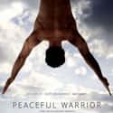 Peaceful Warrior on Random Best Gymnastics Movies