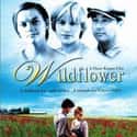 Wildflower on Random Best Reese Witherspoon Movies