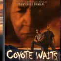 American Mystery! Coyote Waits on Random Best Native American Movies