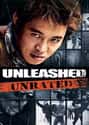 Unleashed on Random Best MMA Movies About Fighting