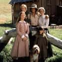 Little House on the Prairie on Random Best Drama Shows About Families