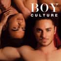 Boy Culture on Random Best LGBTQ+ Themed Movies