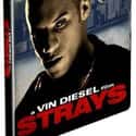 Strays on Random Best Vin Diesel Movies