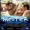 Shelter on Random Best LGBTQ+ Themed Movies