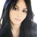 Miami, Florida, United States of America   Persia White is an American actress and musician. White is known for her role as Lynn Searcy on the sitcom Girlfriends.