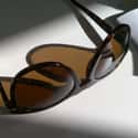 Persol on Random Best Designer Sunglasses Brands