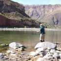 Peru on Random Best Countries for Fishing