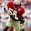 Peter Boulware on Random Best Florida State Football Players