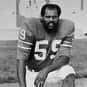 Pete Barnes is listed (or ranked) 22 on the list The Best Arizona Cardinals Linebackers of All Time