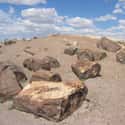 Petrified Forest National Park on Random Best National Parks in the USA