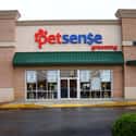 Petsense on Random Best Pet Stores In America